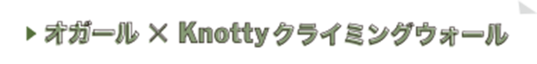 オガール x Knotty クラミングウォール
